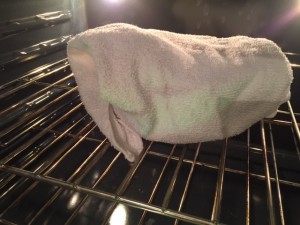 leave undisturbed overnight in oven with light on