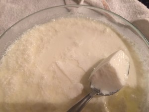 yogurt set at 130F