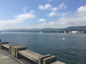 Lake Zurich